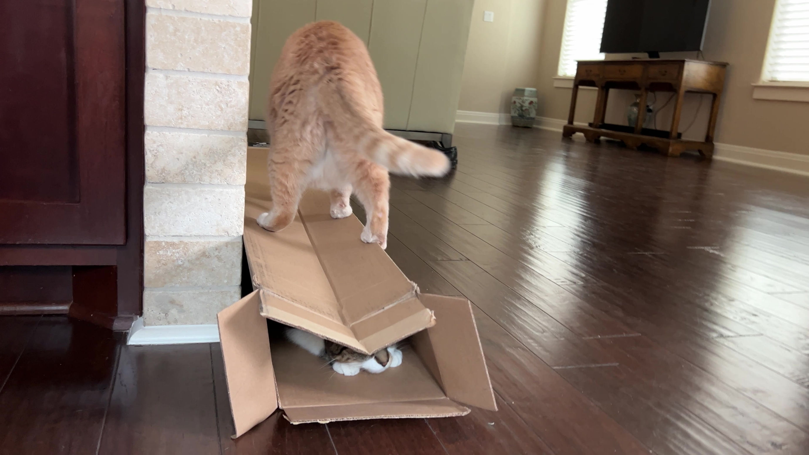 Look Out Below